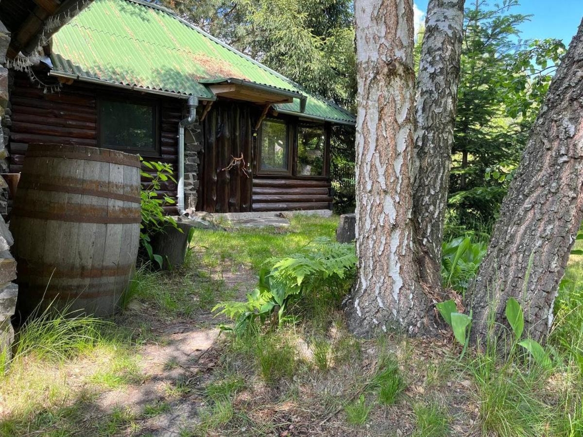 Appartamento Zelenyi Rai Svityaz' Esterno foto