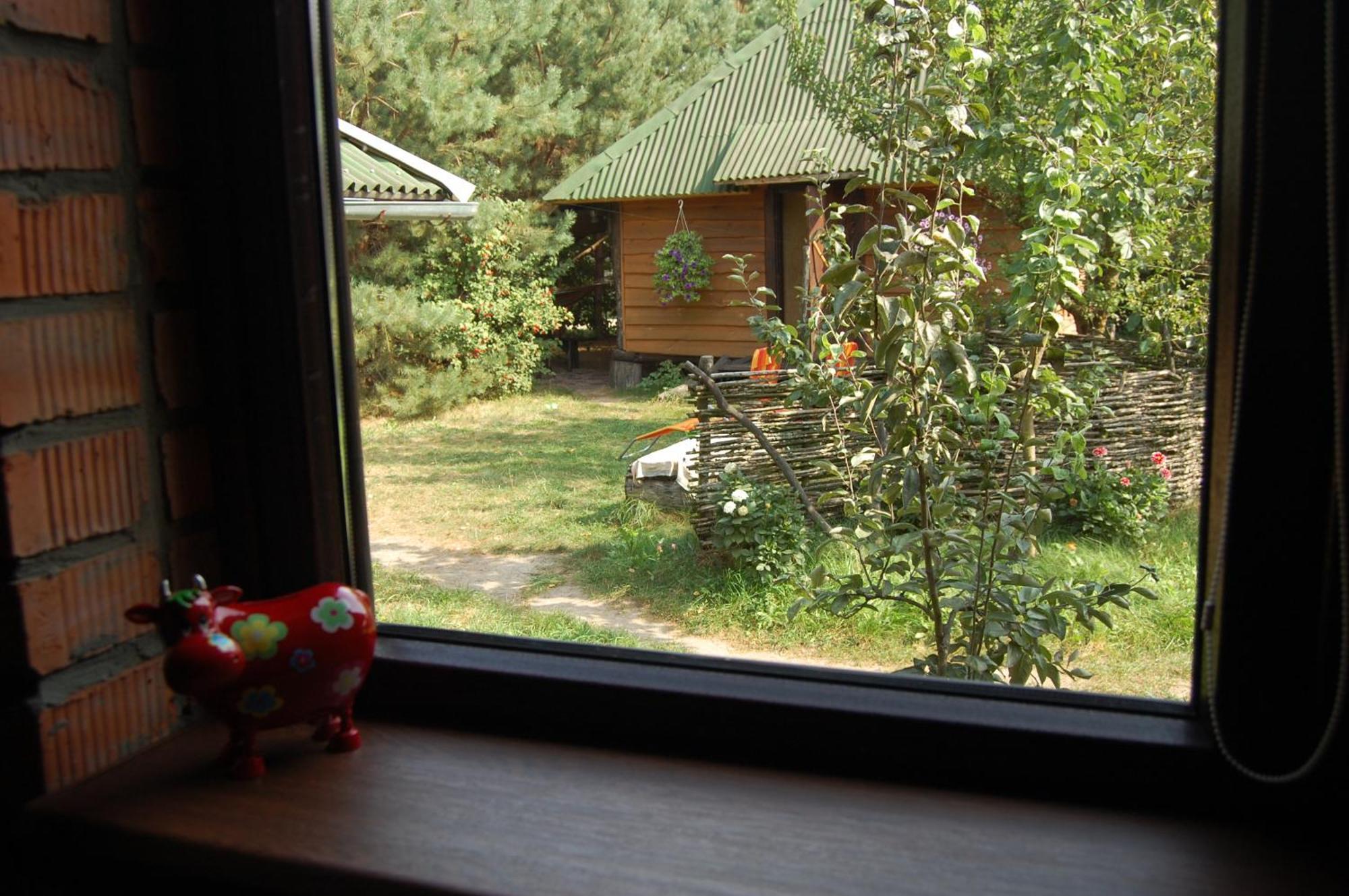 Appartamento Zelenyi Rai Svityaz' Camera foto